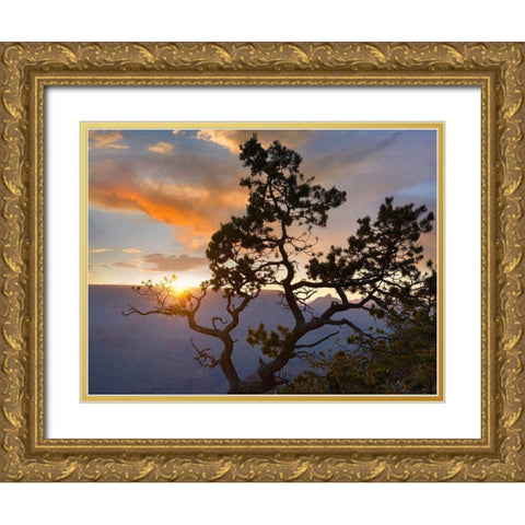 Yavapai Point-Grand Canyon National Park-Arizona-USA Gold Ornate Wood Framed Art Print with Double Matting by Fitzharris, Tim