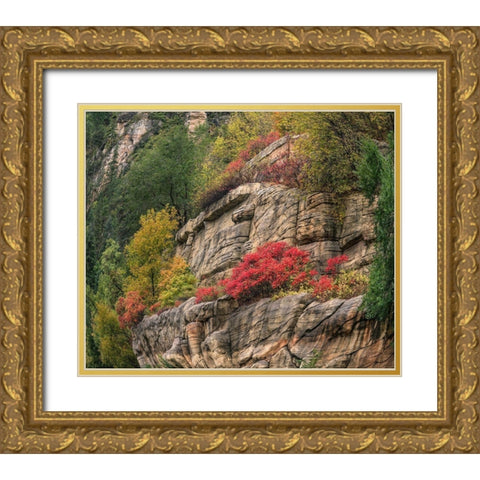 Oak Creek Canyon near Sedona-Arizona Gold Ornate Wood Framed Art Print with Double Matting by Fitzharris, Tim