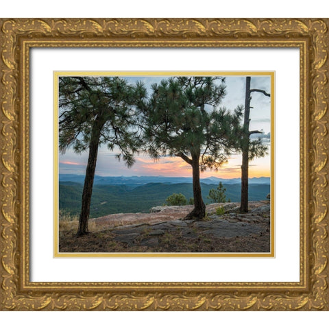 Mazatzal Wilderness-Coconino National Forest-Arizona Gold Ornate Wood Framed Art Print with Double Matting by Fitzharris, Tim