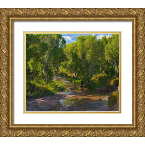 Cottonwoods along the San Pedro River-Arizona-USA Gold Ornate Wood Framed Art Print with Double Matting by Fitzharris, Tim