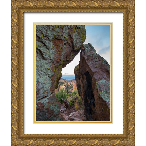 Echo Canyon Trail Chiricahua National Monument-Arizona-USA Gold Ornate Wood Framed Art Print with Double Matting by Fitzharris, Tim