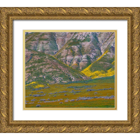 Temblor Mountains-Corrizo National Monument-California-USA Gold Ornate Wood Framed Art Print with Double Matting by Fitzharris, Tim