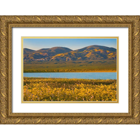 Temblor Range at Soda Lake -Carrizo Plain National Monument-California Gold Ornate Wood Framed Art Print with Double Matting by Fitzharris, Tim