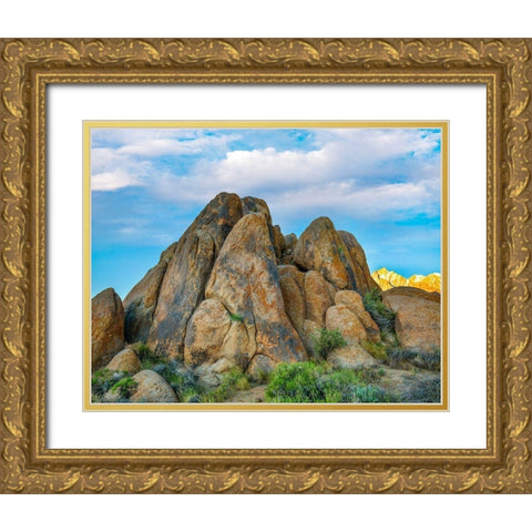 Alabama Hllls and Sierra Nevada-California-USA Gold Ornate Wood Framed Art Print with Double Matting by Fitzharris, Tim