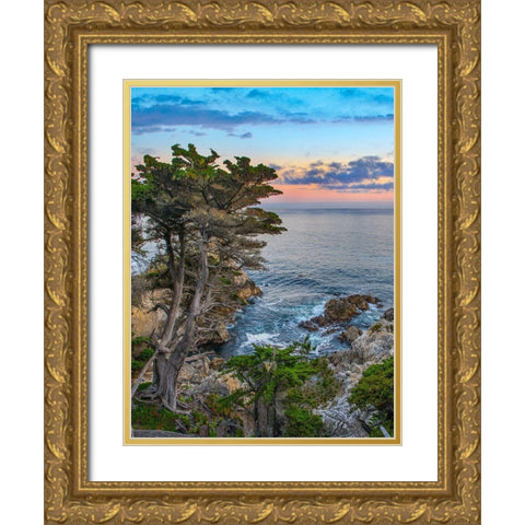 Pescdero Point-17-mile drive-Pebble-Beach-California-USA Gold Ornate Wood Framed Art Print with Double Matting by Fitzharris, Tim