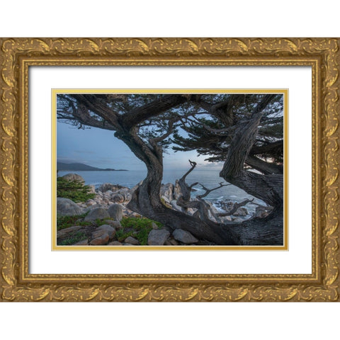 Pescdero Point-17-mile drive-Pebble-Beach-California-USA Gold Ornate Wood Framed Art Print with Double Matting by Fitzharris, Tim