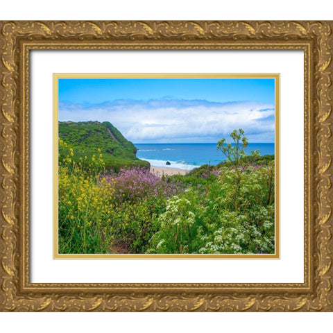 Garrapata Stare Park-Big Sur-California-USA Gold Ornate Wood Framed Art Print with Double Matting by Fitzharris, Tim