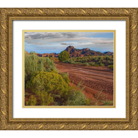 Vermillion Cliffs National Monument-Arizona-USA Gold Ornate Wood Framed Art Print with Double Matting by Fitzharris, Tim