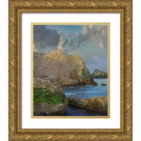 Bird Island-Point Lobos State reserve-California Gold Ornate Wood Framed Art Print with Double Matting by Fitzharris, Tim