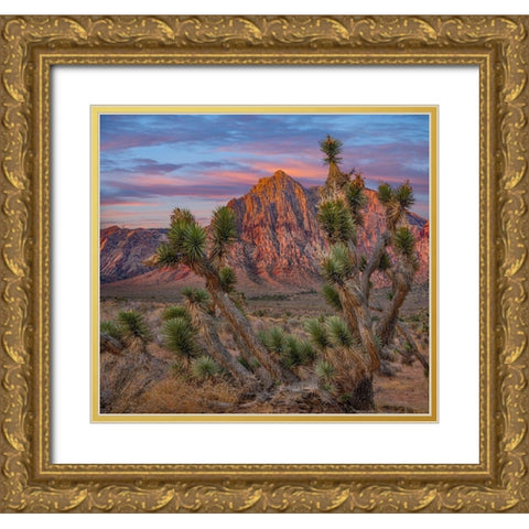 Spring Mountains at Red Rock Canyon National Conservation Area-Utah Gold Ornate Wood Framed Art Print with Double Matting by Fitzharris, Tim