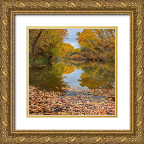 Verde River near Camp Verde-Arizona-USA Gold Ornate Wood Framed Art Print with Double Matting by Fitzharris, Tim