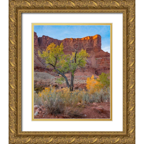 Sandstone Cliffs at Porcupine Canyon-Utah Gold Ornate Wood Framed Art Print with Double Matting by Fitzharris, Tim