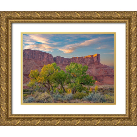 Sandstone Cliffs at Porcupine Canyon-Utah Gold Ornate Wood Framed Art Print with Double Matting by Fitzharris, Tim