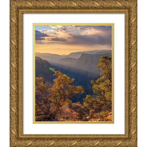 Tomichi Point-Black Canyon of the Gunnison National Park-Colorado Gold Ornate Wood Framed Art Print with Double Matting by Fitzharris, Tim