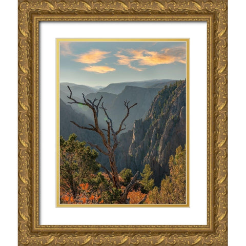 Tomichi Point-Black Canyon of the Gunnison National Park-Colorado Gold Ornate Wood Framed Art Print with Double Matting by Fitzharris, Tim