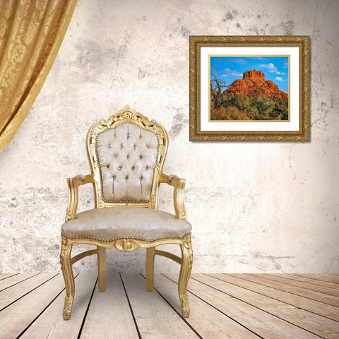 Bell Rock-Coconino National Forest near Sedona-Arizona-USA Gold Ornate Wood Framed Art Print with Double Matting by Fitzharris, Tim