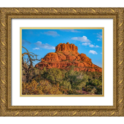 Bell Rock-Coconino National Forest near Sedona-Arizona-USA Gold Ornate Wood Framed Art Print with Double Matting by Fitzharris, Tim
