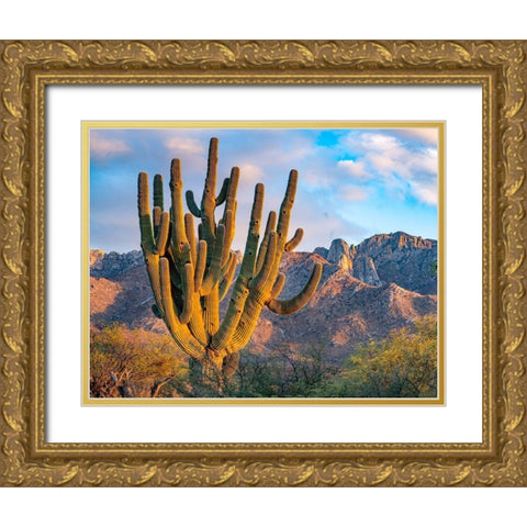 Santa Catalina Mountains-Catalina State Park-Arizona-USA Gold Ornate Wood Framed Art Print with Double Matting by Fitzharris, Tim