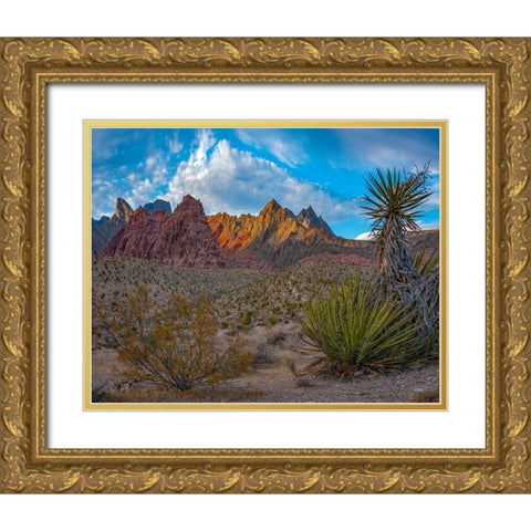 Red Rock Canyon National Conservation Area-Nevada-USA  Gold Ornate Wood Framed Art Print with Double Matting by Fitzharris, Tim