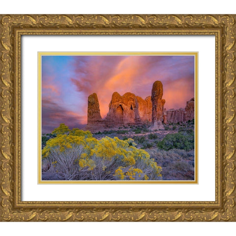 Parade of the Elephants Sandstone Formation-Arches National Park-Utah Gold Ornate Wood Framed Art Print with Double Matting by Fitzharris, Tim