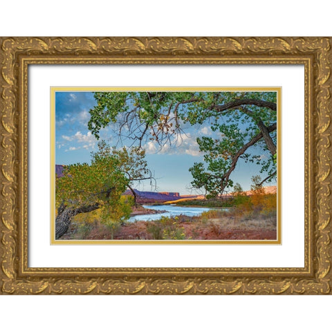 Porcupine Canyon on Colorado River near Castle Valley-Utah-USA Gold Ornate Wood Framed Art Print with Double Matting by Fitzharris, Tim