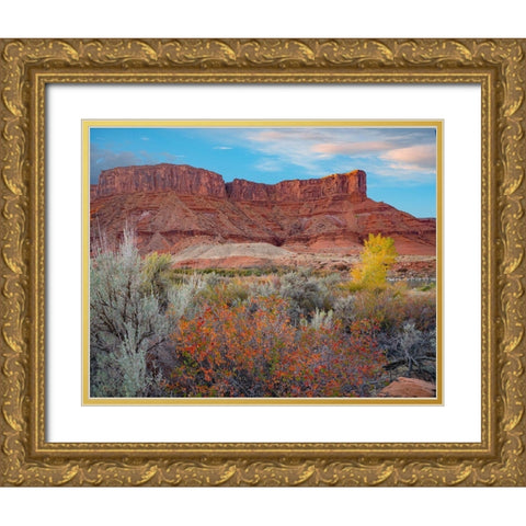 Porcupine Canyon with Dome Plateau on Colorado River near Moab-Utah Gold Ornate Wood Framed Art Print with Double Matting by Fitzharris, Tim