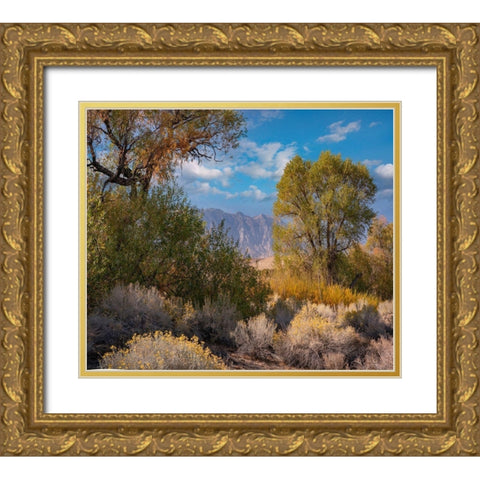 Sierra Nevada-Owens Valley-California-USA Gold Ornate Wood Framed Art Print with Double Matting by Fitzharris, Tim