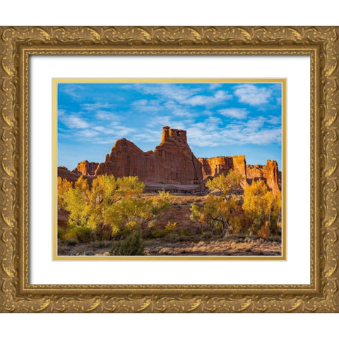 Courthouse Towers from Courthouse Wash-Arches National Park-Utah Gold Ornate Wood Framed Art Print with Double Matting by Fitzharris, Tim