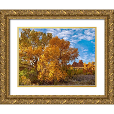 Courthouse Towers from Courthouse Wash-Arches National Park-Utah Gold Ornate Wood Framed Art Print with Double Matting by Fitzharris, Tim