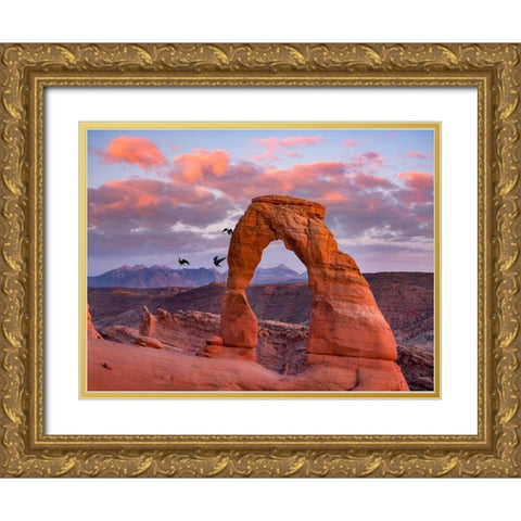 Delicate Arch-Arches National Park-Utah-USA Gold Ornate Wood Framed Art Print with Double Matting by Fitzharris, Tim