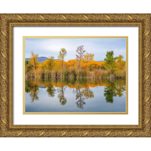 Lagoon Reflection-Dead Horse Ranch State Park-Arizona-USA Gold Ornate Wood Framed Art Print with Double Matting by Fitzharris, Tim