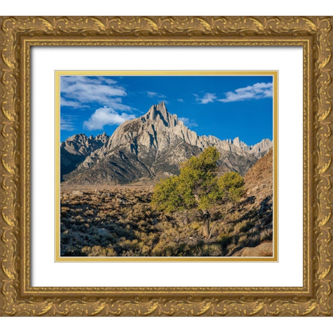 Lone Pine Peak-Eastern Sierra-California Gold Ornate Wood Framed Art Print with Double Matting by Fitzharris, Tim