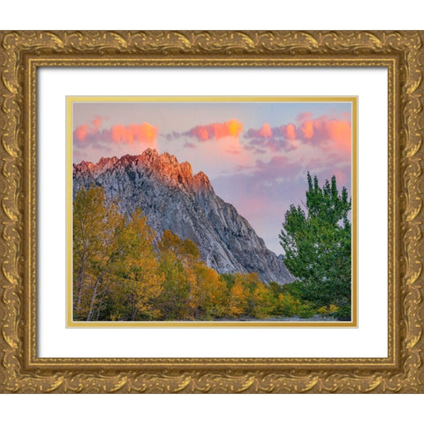 Mount Tom-Eastern Sierra-California-USA Gold Ornate Wood Framed Art Print with Double Matting by Fitzharris, Tim