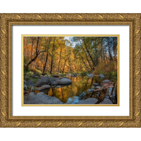 Oak Creek near Sedona-Arizona-USA Gold Ornate Wood Framed Art Print with Double Matting by Fitzharris, Tim