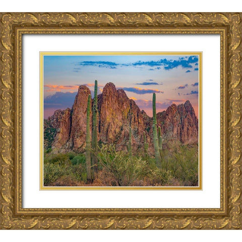 Usury Mountains from Tortilla Flat-Arizona-USA Gold Ornate Wood Framed Art Print with Double Matting by Fitzharris, Tim