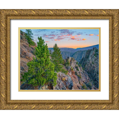 Tomichi Point-Black Canyon of the Gunnison National Park-Colorado Gold Ornate Wood Framed Art Print with Double Matting by Fitzharris, Tim