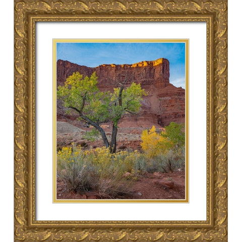 Porcupine Canyon on Colorado River near Castle Valley-Utah Gold Ornate Wood Framed Art Print with Double Matting by Fitzharris, Tim