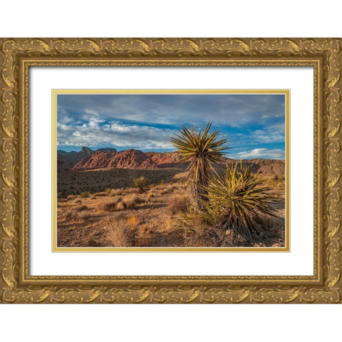 Red Rock Canyon National Conservation Area near Las Vegas-Nevada Gold Ornate Wood Framed Art Print with Double Matting by Fitzharris, Tim