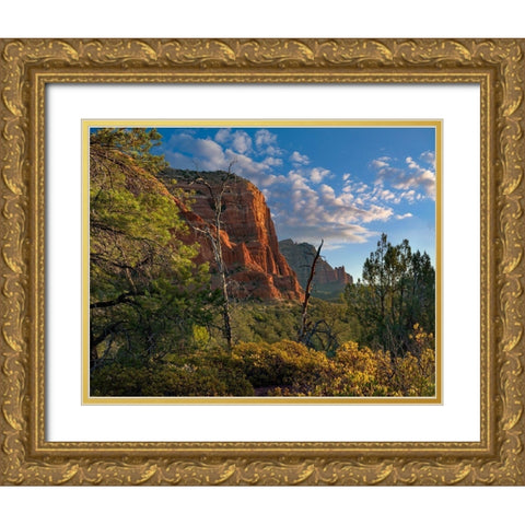 Coconino National Forest near Sedona-Arizona-USA Gold Ornate Wood Framed Art Print with Double Matting by Fitzharris, Tim