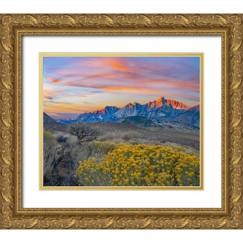 Sierra Nevada from Owens Valley-California-USA Gold Ornate Wood Framed Art Print with Double Matting by Fitzharris, Tim