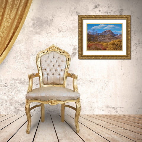 Sierra Nevada from Buttermilk Road near Bishop-California-USA Gold Ornate Wood Framed Art Print with Double Matting by Fitzharris, Tim