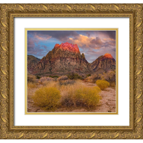 Spring Mountains-Red Rock Canyon National Conservation Area-Nevada Gold Ornate Wood Framed Art Print with Double Matting by Fitzharris, Tim