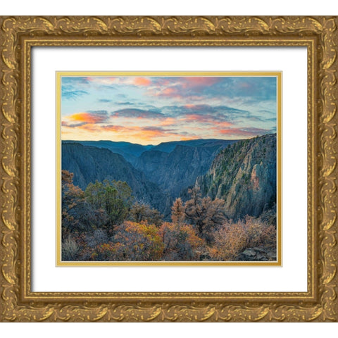 Tomichi Point-Black Canyon of the Gunnison National Park-Colorado Gold Ornate Wood Framed Art Print with Double Matting by Fitzharris, Tim