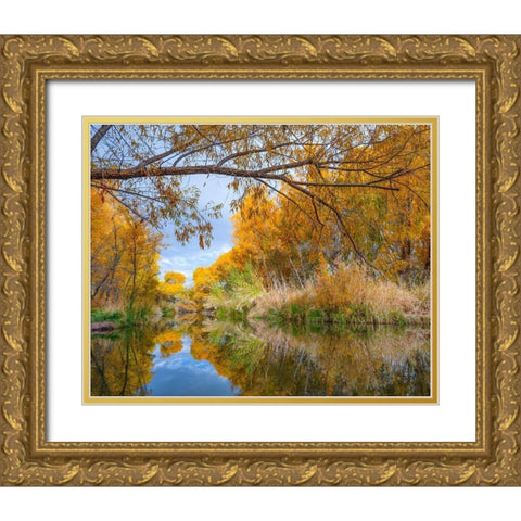 Verde River near Camp Verde-Arizona-USA Gold Ornate Wood Framed Art Print with Double Matting by Fitzharris, Tim