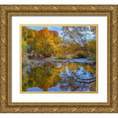 Verde River near Camp Verde-Arizona-USA Gold Ornate Wood Framed Art Print with Double Matting by Fitzharris, Tim