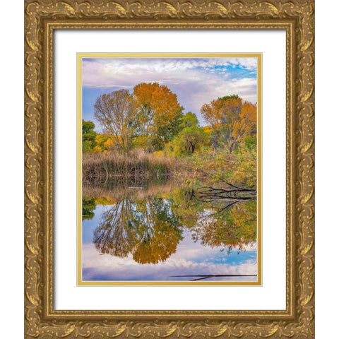 Verde River Valley-Lagoon at Dead Horse Ranch State Park-Arizona Gold Ornate Wood Framed Art Print with Double Matting by Fitzharris, Tim