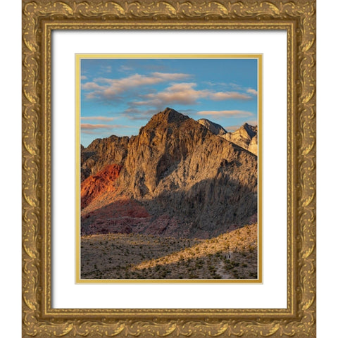 Calico Hills-Red Rock canyon National Conservation Area-Nevada Gold Ornate Wood Framed Art Print with Double Matting by Fitzharris, Tim