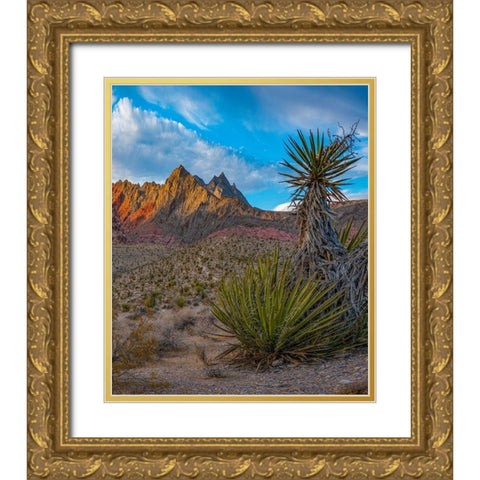 Red Rock Canyon National Conservation Area near Las Vegas-Nevada Gold Ornate Wood Framed Art Print with Double Matting by Fitzharris, Tim