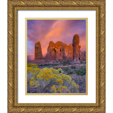 Parade of the Elephants sandstone formation-Arches National Park-Utah Gold Ornate Wood Framed Art Print with Double Matting by Fitzharris, Tim