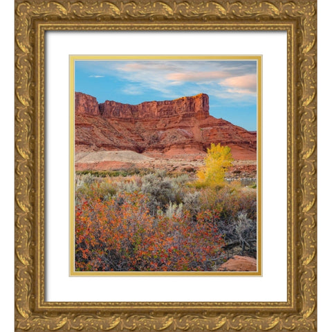 Porcupine Canyon on Colorado River near Castle Valley-Utah Gold Ornate Wood Framed Art Print with Double Matting by Fitzharris, Tim